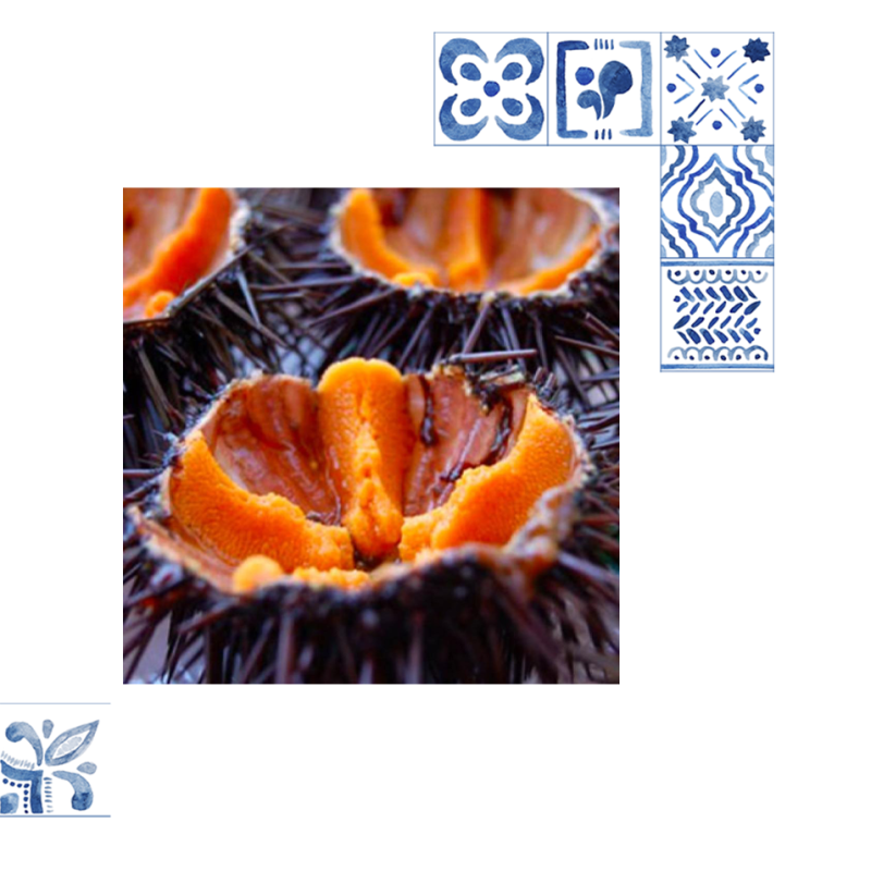 Notre Concept - Les Halles - restaurant AGDE - Restaurant Cap d'Agde