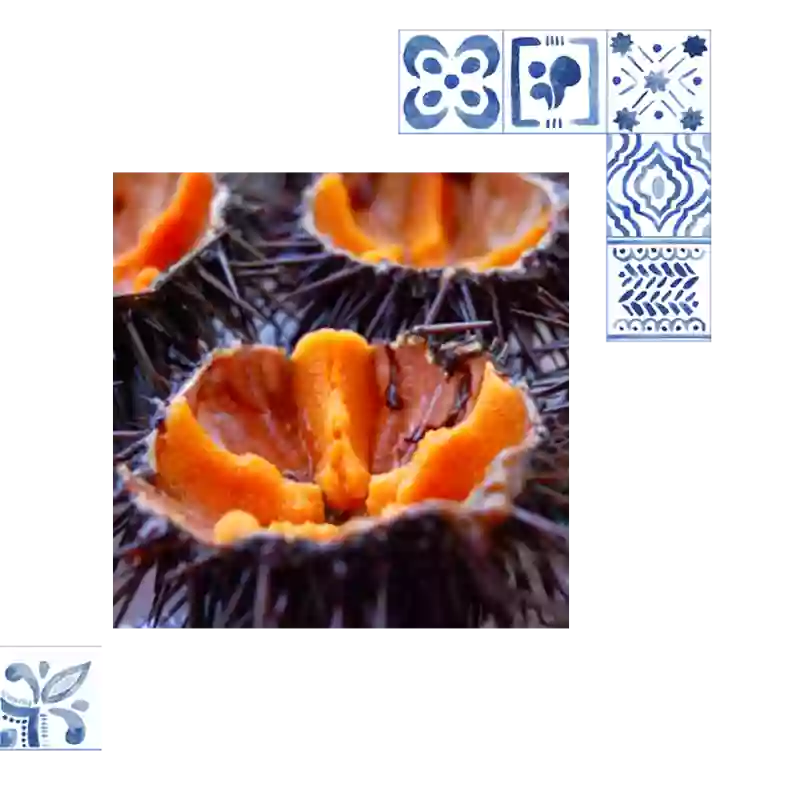 Notre Concept - Les Halles - restaurant AGDE - manger a AGDE